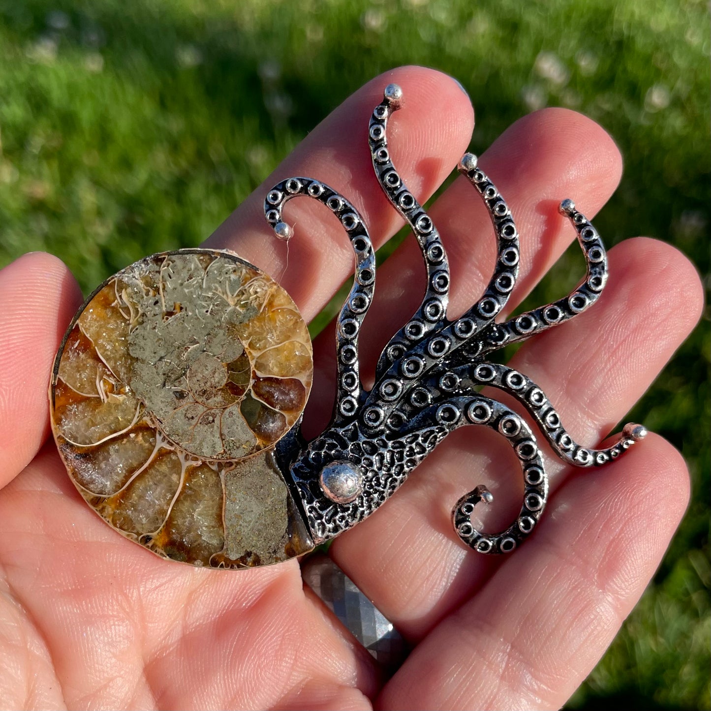 tentacly ammonite fossil pins (or pendants)